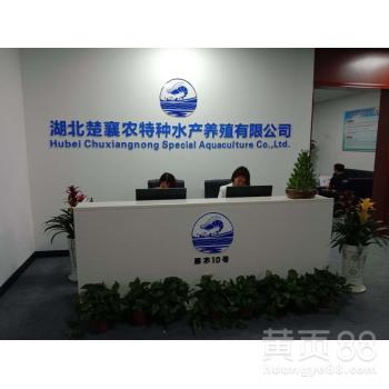 荊州工廠化養(yǎng)殖白對(duì)蝦廠 開啟現(xiàn)代化高效水產(chǎn)養(yǎng)殖新篇章